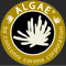 logo-ALGHERIA