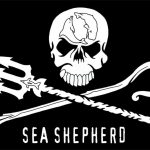Catering per Sea Shepherd